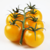 Pomidor żółty odmiany