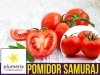 Pomidor karłowy Samuraj (Lycopersicon Esculentum) nasiona
