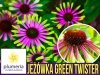 Jeżówka Green Twister (Echinacea Purpurea ) nasiona