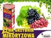 Mikoryza Grzybnia do winorośli 250ml