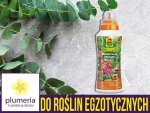 Nawóz płynny do roślin śródziemnomorskich COMPO 500 ml