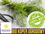 BIO Koper ogrodowy nasiona ekologiczne 5g