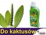 Agrecol Nawóz Mineral Żel do kaktusów 0,25l