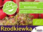 BIO Rzodkiewka - nasiona na kiełki ekologiczne 20g