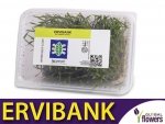 ERVIBANK 500 pokarm dla osiec mszycowy 