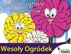 Cynie - ogrodu gospodynie Wesoły ogródek