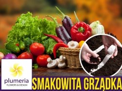 Ogródek warzywny - SMAKOWITA GRZĄDKA, zestaw nasion NA TAŚMIE 9x1,5 m - p71