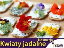 Kwiaty jadalne - Nasturcja niska Tom Thumb mieszanka nasion5g