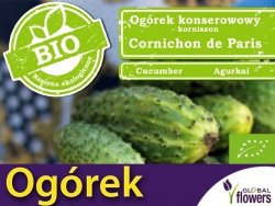 BIO Ogórek korniszonowy CORNICHON DE PARIS nasiona ekologiczne 2g
