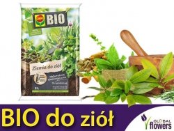 BIO podłoże do ziół COMPO 5 l