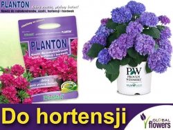 PLANTON® Nawóz do rododendronów, azalii, hortensji i borówek 1kg