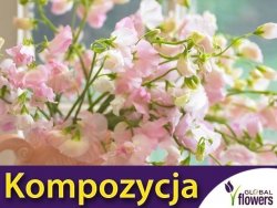 Kompozycja Różowych Roślin Jednorocznych nasiona 1g 