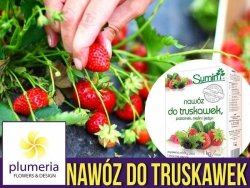 Sumin nawóz do truskawek i poziomek 1kg