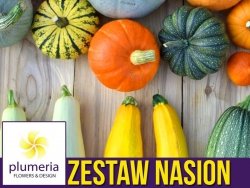 Dynie i cukinie - zestaw 5 odmian warzyw nasiona Z14