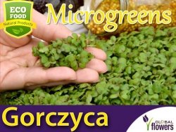 Microgreens - Gorczyca sarepska 3g