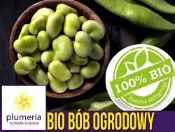 BIO Bób ogrodowy SUPERAGUADULCE nasiona ekologiczne 40g