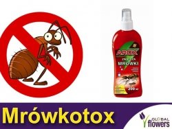 Arox MRÓWKOTOX Płynny preparat na mrówki 200ml