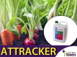 ATTRACKER płyn wabiący wciorniastki 5 litrów