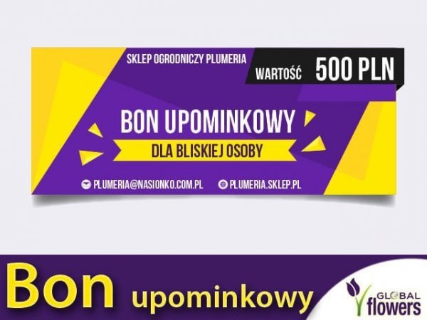 Bon upominkowy dla bliskiej osoby 500zł