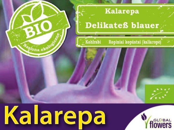 Kalarepa fioletowa nasiona