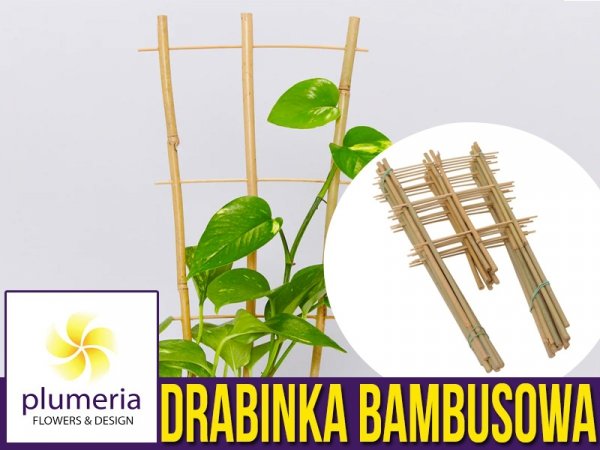 Drabinka Bambusowa - podpora do roślin 90 cm - 1 szt.