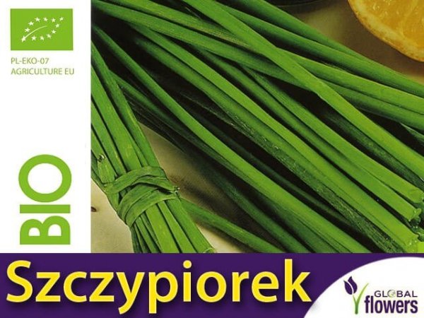 BIO nasiona szczypiorek, nasiona ekologiczne warzyw, jak wysiewać szczypiorek