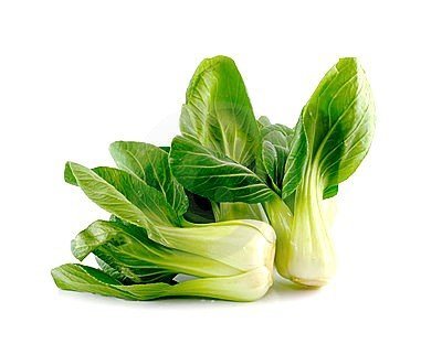 Zdrowa Kapusta CHIŃSKA 'Pak-Choi'