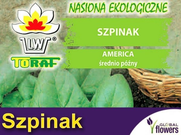 Ekologiczne nasiona szpinaku