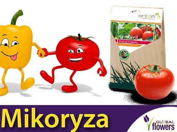 Mikoryza Grzybnia do pomidorów i papryk Symbivit 150g