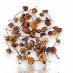 NATURALNE CZAPECZKI ŻOŁĘDZI 1,5-2cm DEKORAC 50szt
