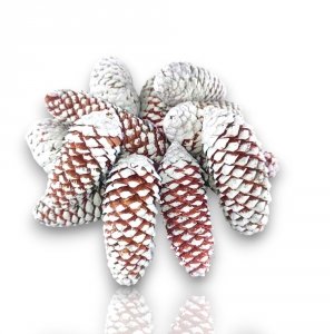 Szyszki Świerkowe Bielone Naturalne Dekoracja Bombki Sople Choinkę 7-14cm 10 szt