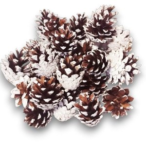 Naturaln Ozdoba Szyszki Ośnieżone Bielone Dekoracja Stroik Wianka 50 kg HURT