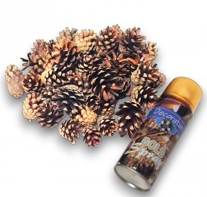 Naturalne Szyszki Sosnowe Dekoracyj Susz 50 szt + Farba Spray Złoty