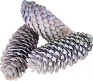 Szyszki Świerkowe Rustykalne Pastelowe 12-15cm 3szt