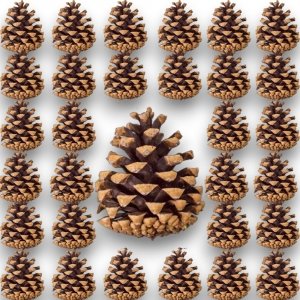 Szyszki Sosnowe Naturalna Szyszka Dekoracja 30 Stroik Wianek