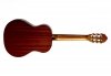 Arrow Calma 3/4 gloss - Gitara klasyczna 3/4