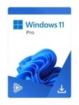 System operacyjny Microsoft Windows 11 Professional PL 64-bit OEM