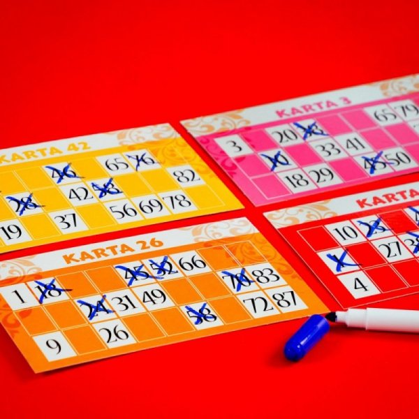 Lisciani Gra Ludoteca Bingo