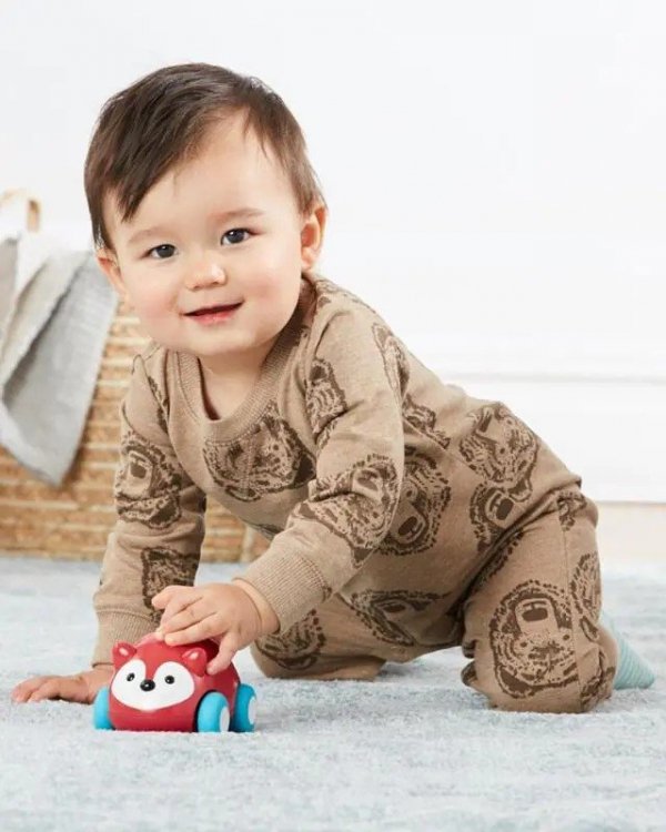 Skip Hop Samochodzik z napędem Pull&Go - Lis