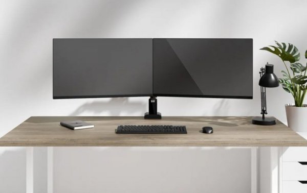 Neomounts Ramię do monitora DS60-600BL2