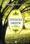 Energia drzew ich aura i moc uzdrawiania