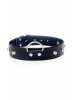 Fetish B - Series Collar with studs 3 cm