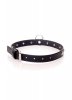 Fetish B - Series - Collar 2 cm silver crystal