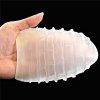 MASTURBATOR GIANT EGG
