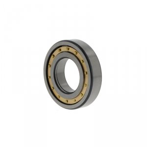NUP215 -E-XL-M1-C3
