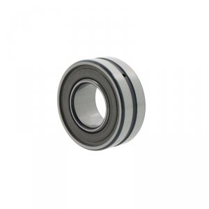 BS2-2309 -2RS/VT143