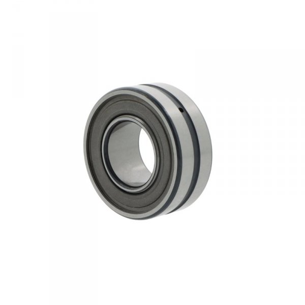BS2-2309 -2RS/VT143