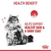 Royal Canin Hair&Skin Care karma sucha dla kotów dorosłych, lśniąca sierść i zdrowa skóra 4kg