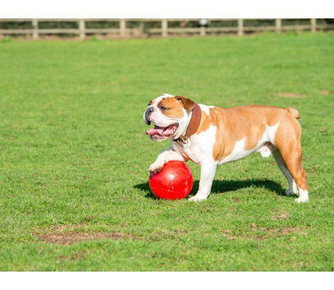 Boomer Ball M - 6&quot; / 15cm czerwona