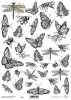 Folia przezroczysta (HS code 39261000) F055
